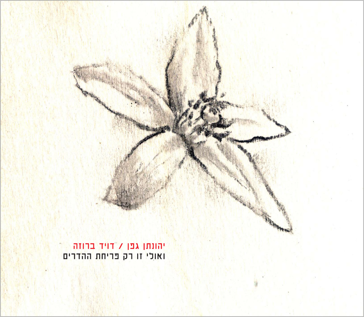 1200x1045 - Orange Blossom Sketch