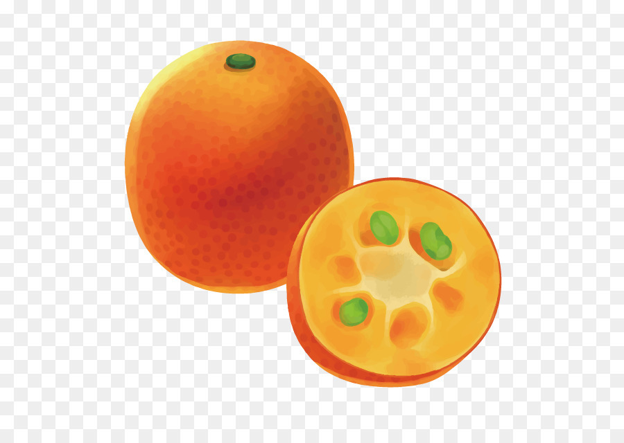 900x640 Orange 3d Computer Graphics Fruit - Orange Fruit Sketch
