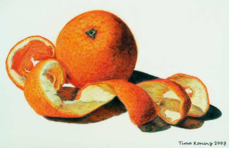 800x516 Orange Fruit (Alyona Nickelsen Exercise) Colorpencil - Orange Fruit Sketch