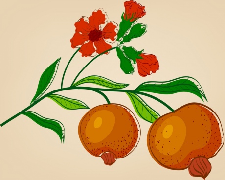 460x368 Orange Fruit Drawing Free Vector Download (93,863 Free Vector) For - Orange Fruit Sketch