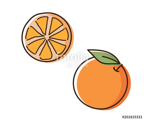 500x417 Orange Outline Illustration With Watercolor Effect. Vector Doodle - Orange Fruit Sketch