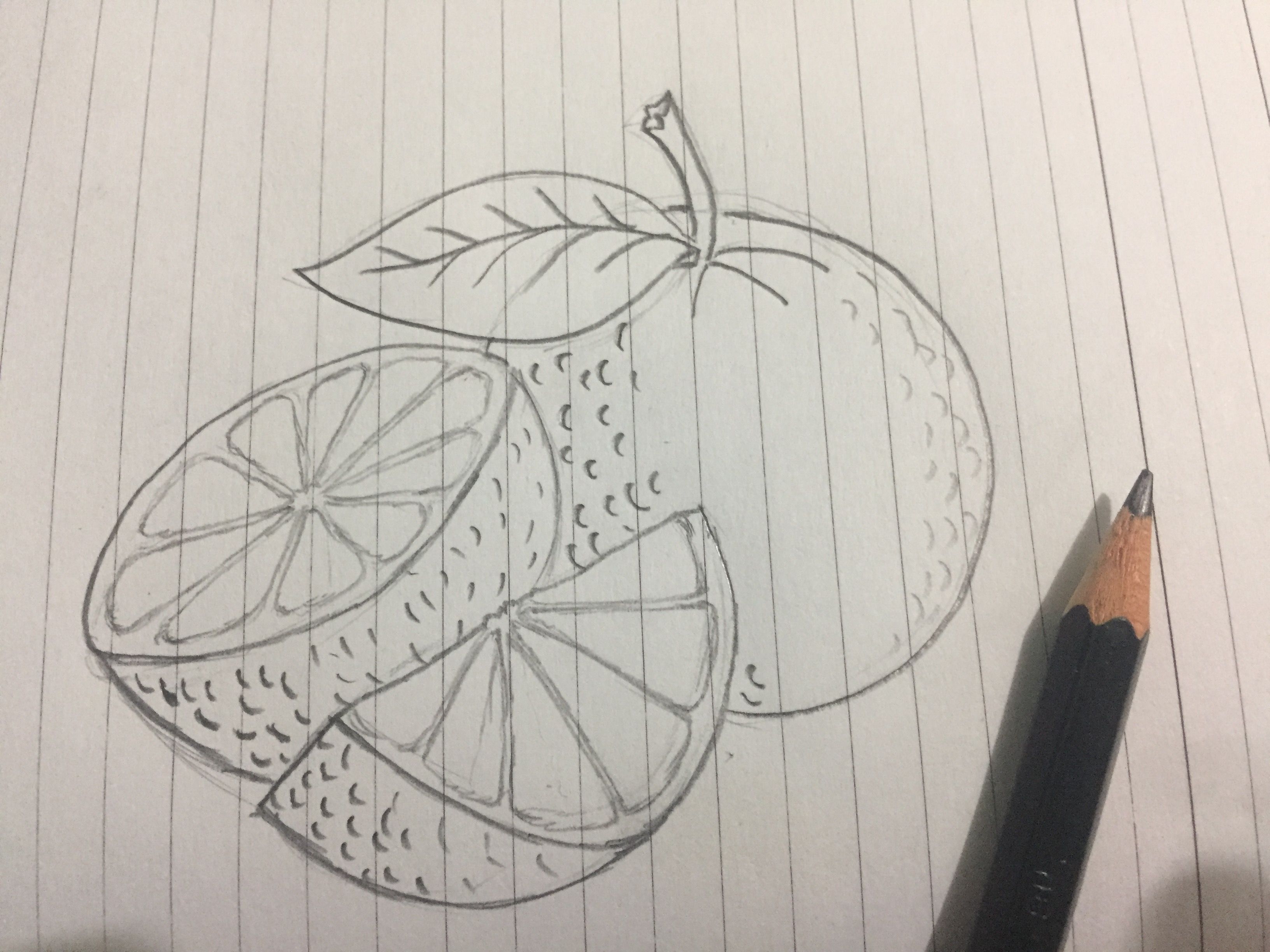 3264x2448 Drawing Challenge - Orange Fruit Sketch