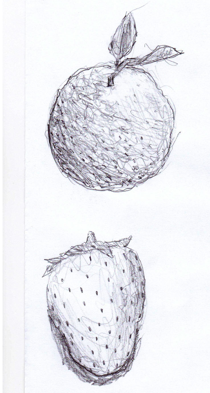 737x1378 How To Sketch - Orange Sketch