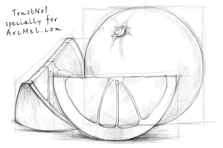 768x512 How To Draw An Orange Step By Step - Orange Sketch