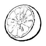 160x160 Orange Cut In Half, Top View, Sketch Style Vector Illustration - Orange Sketch