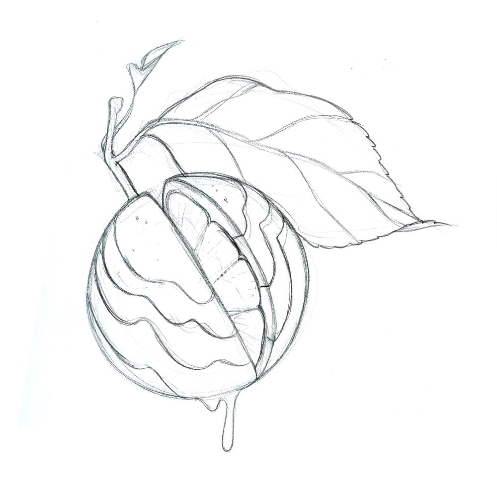 1000x1000 Sketches Allison Bamcat - Orange Sketch