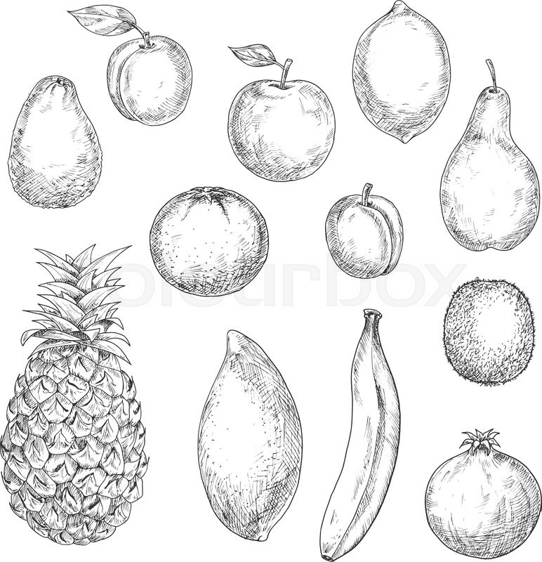 772x800 Sweet Tropical Pineapple And Orange, Banana And Mango, Kiwi And - Orange Sketch