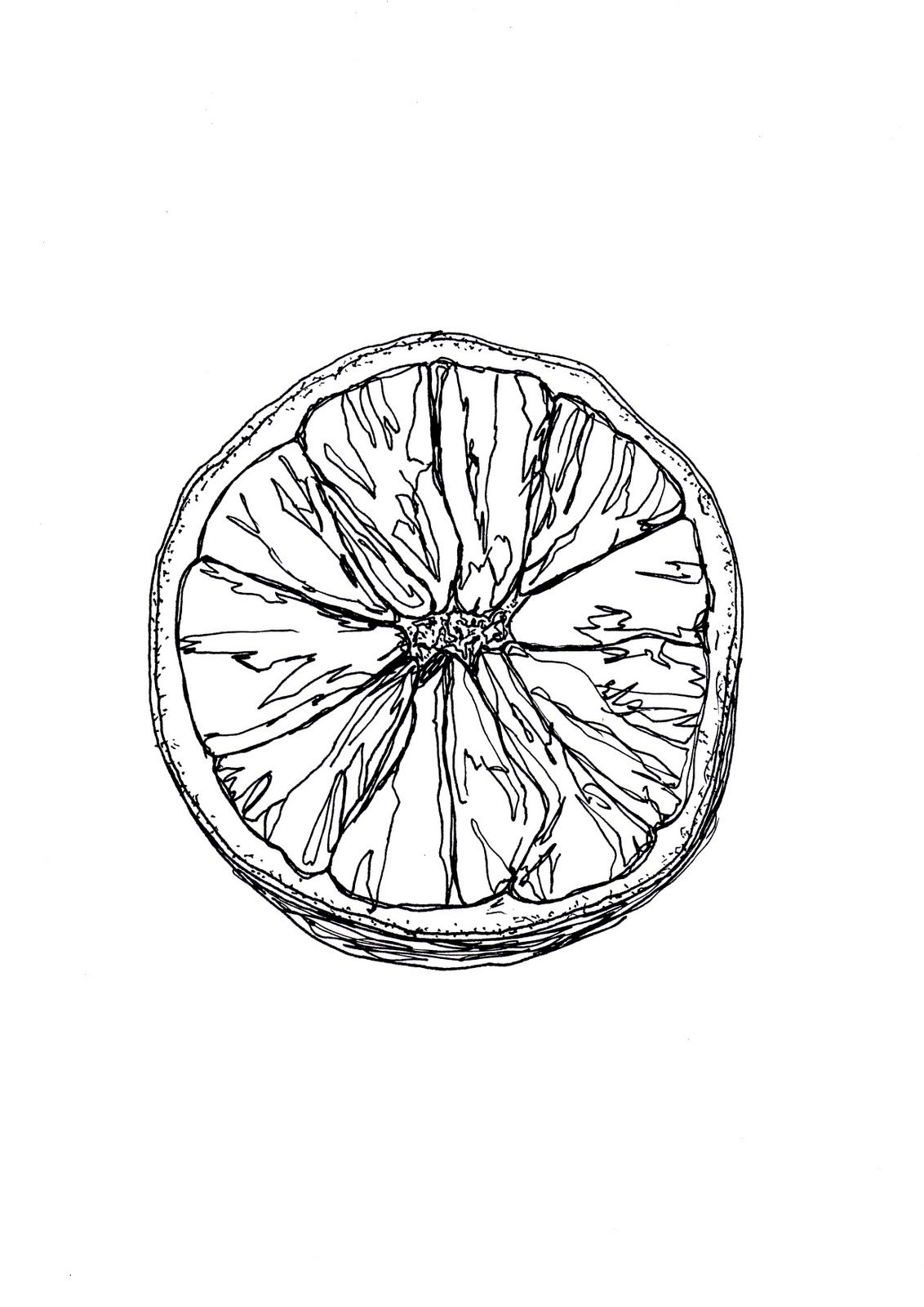 1132x1600 Detailed Observation Orange In Pen And Ink Mon Look - Orange Sketch