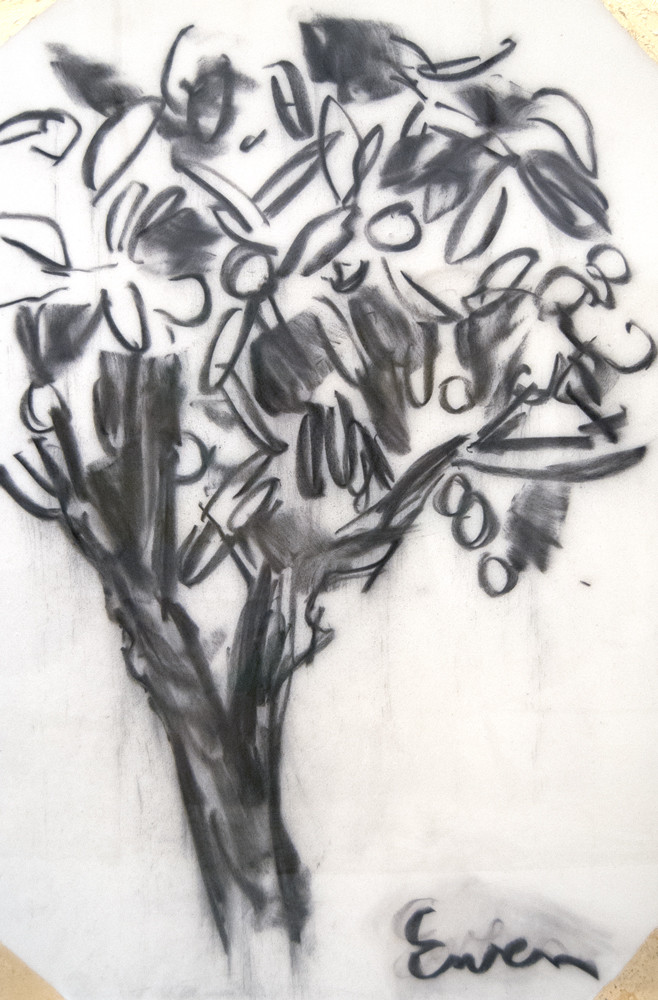 658x1000 Orange Tree - Orange Tree Sketch