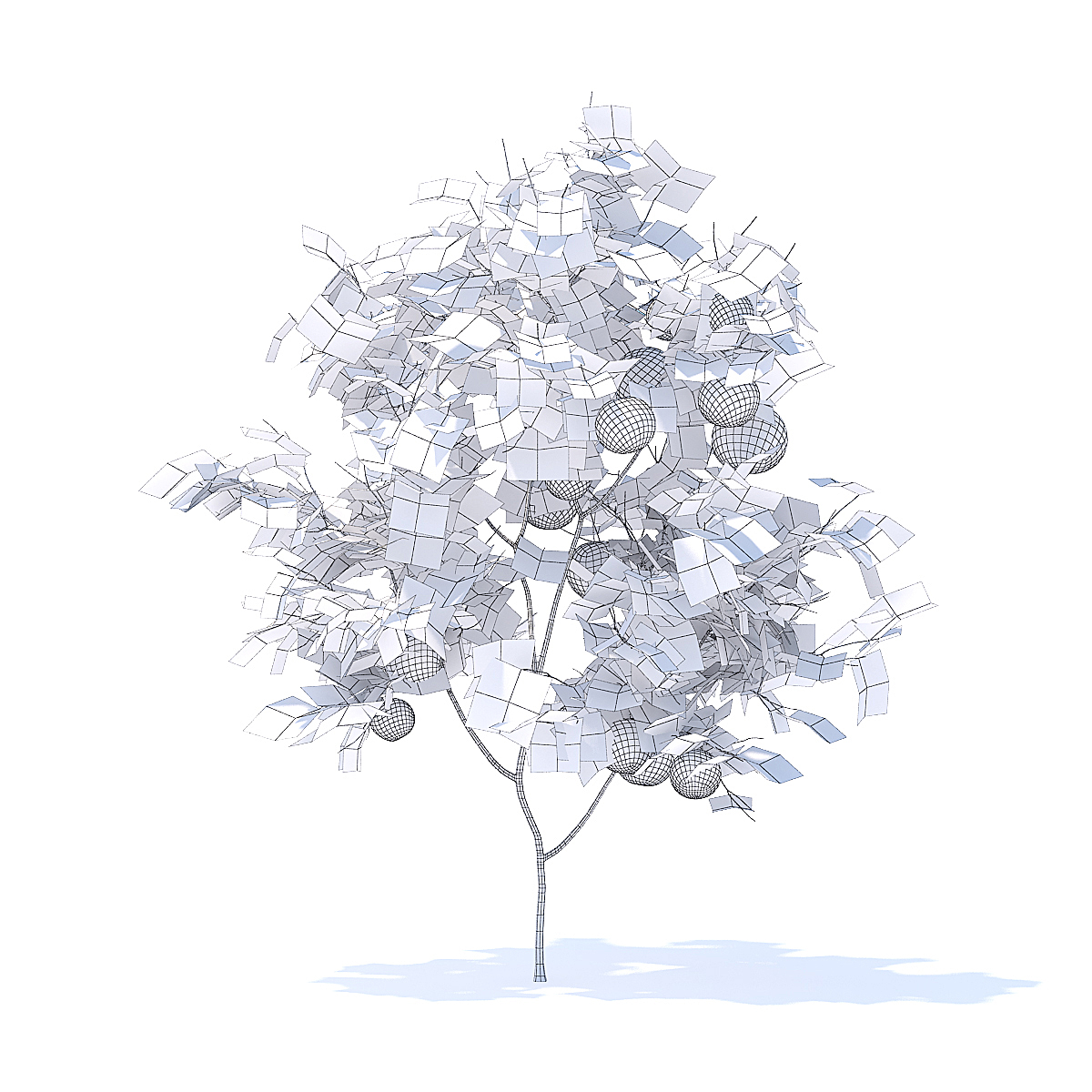 1200x1200 Orange Tree With Fruits 3d Model 1.6m - Orange Tree Sketch