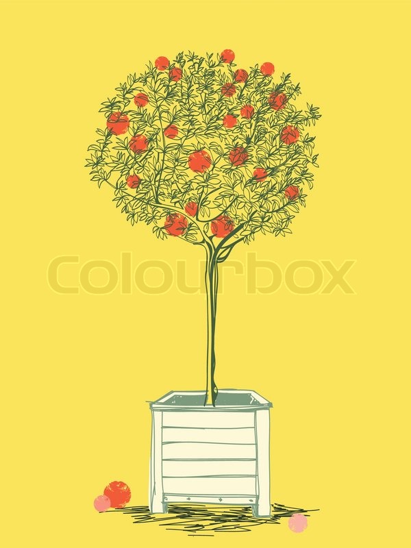 600x800 Sketch Of Orange Tree Growing In White Wooden Pot Stock Vector - Orange Tree Sketch