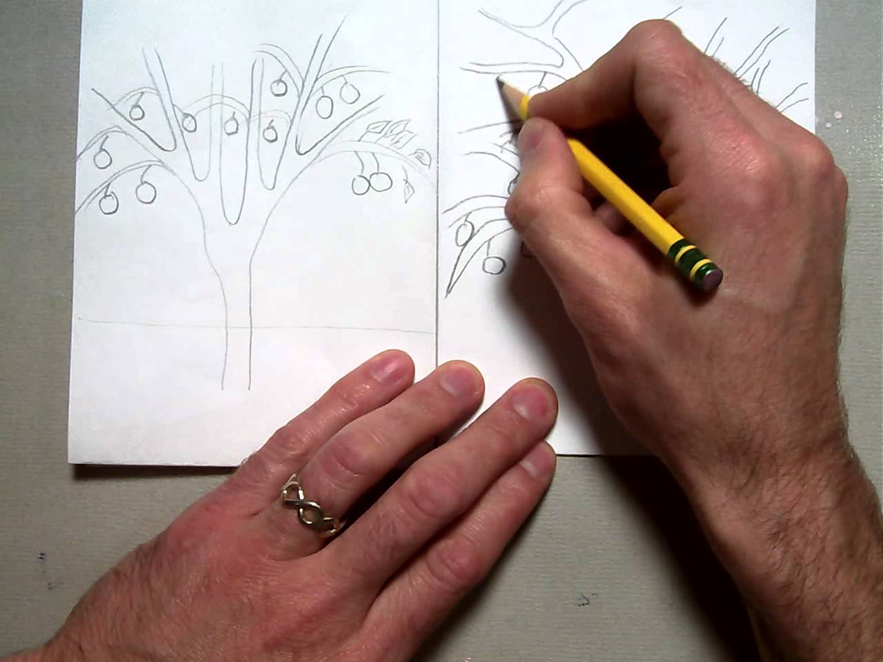 1280x960 Drawing An Orange Tree.mov - Orange Tree Sketch