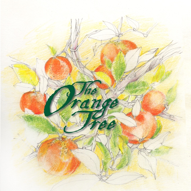 650x650 The Orange Tree By Lisa Haese Smith - Orange Tree Sketch