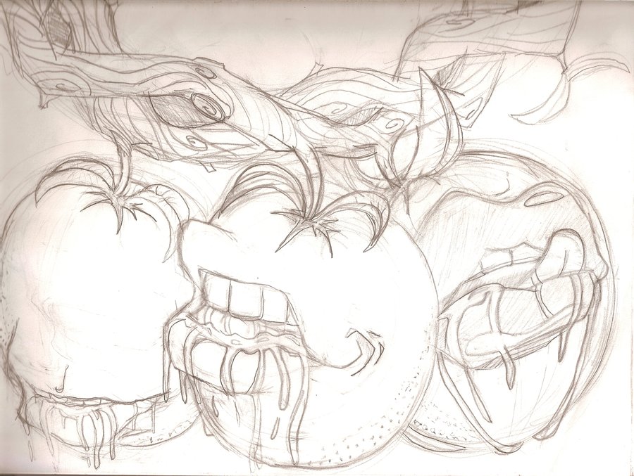 900x677 The Orange Tree Sketch By Anigami - Orange Tree Sketch