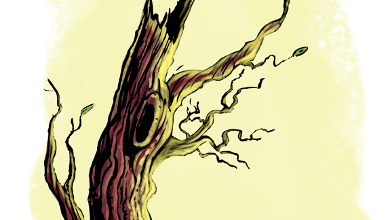 390x220 Fall Orange Tree Watercolor - Orange Tree Sketch