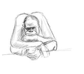 320x284 Exploring 2d And Art. Orangutan Sketch. - Orangutan Sketch