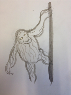 250x334 My Sketches - Orangutan Sketch