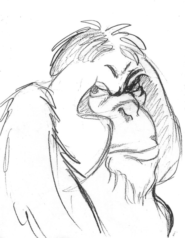 600x768 Orangutan Sketch By Joe5art - Orangutan Sketch