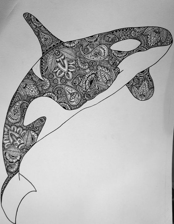 564x726 Killer Whale Orca Drawing Mandala. Killer - Orca Sketch