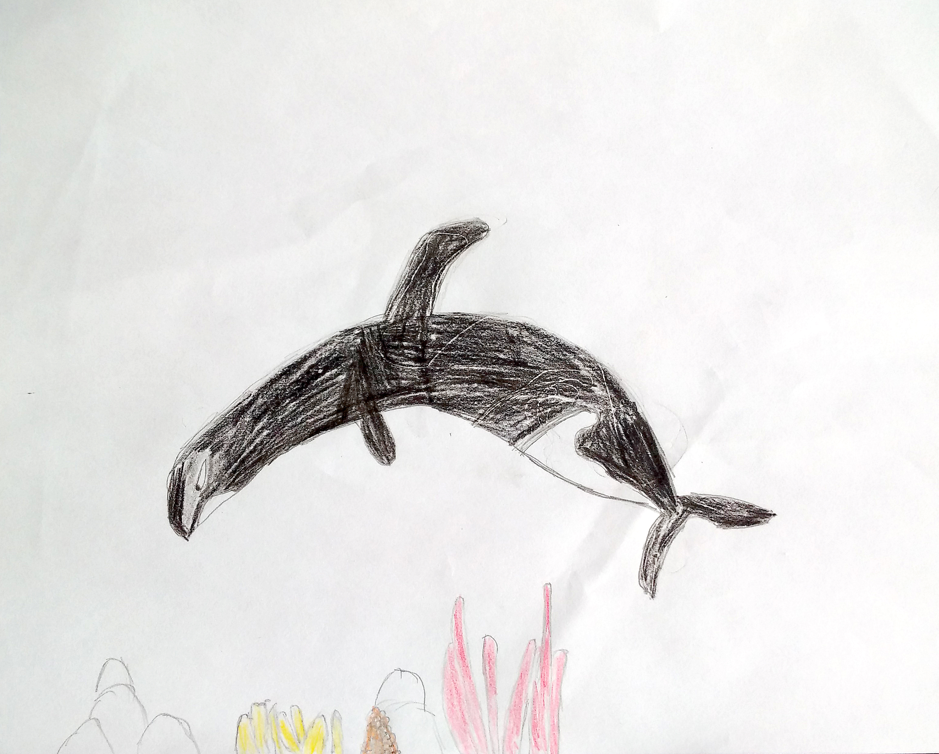 3078x2472 Orca In The Ocean 2017 World Environment Day Drawing Contest - Orca Sketch