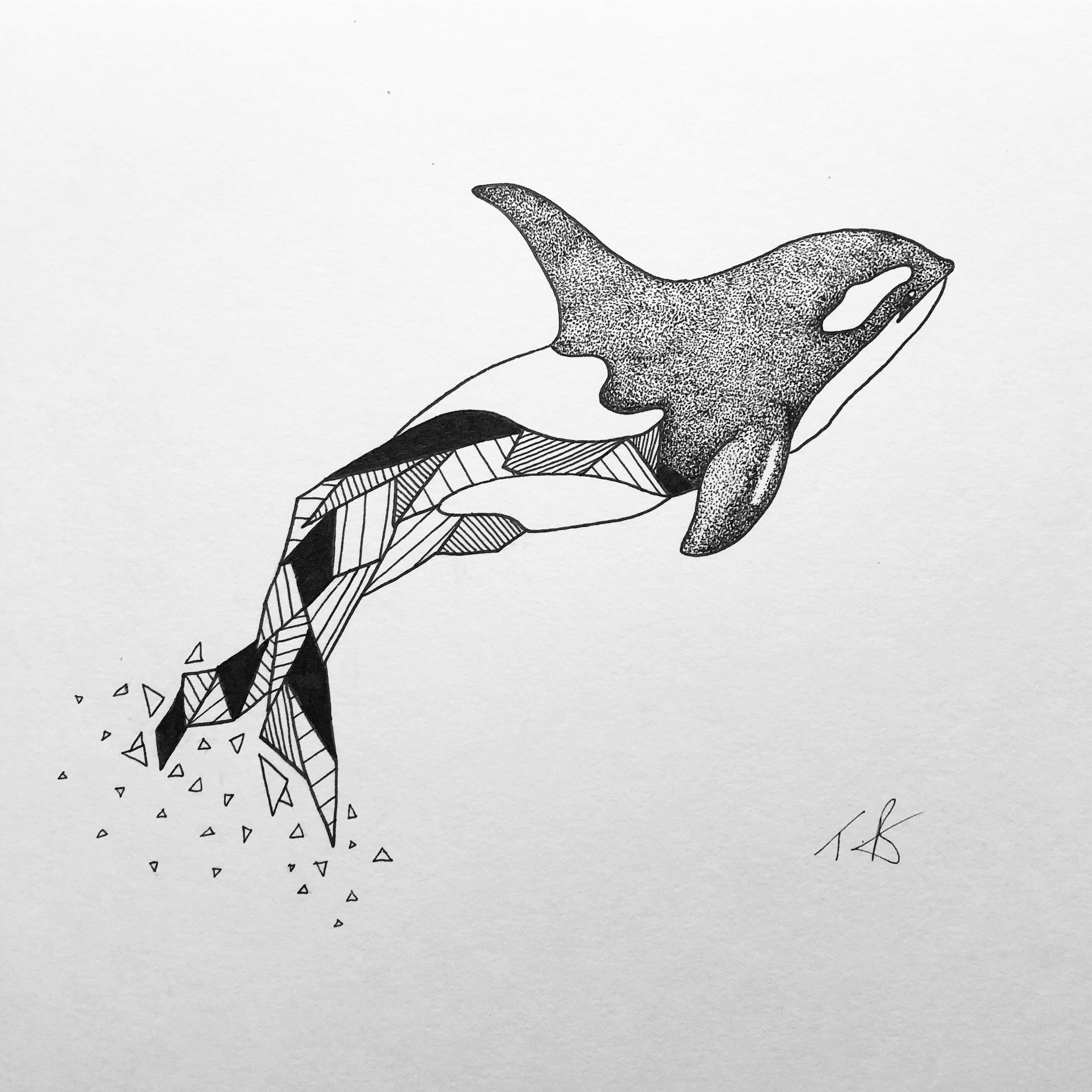 Дельфин Графика