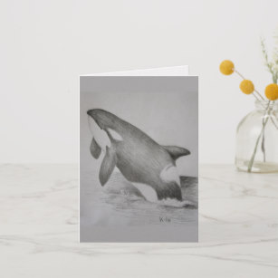 307x307 Orca Killer Whale Cards Zazzle - Orca Whale Sketch