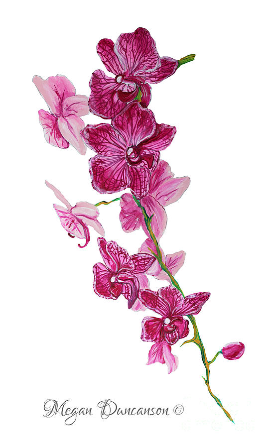 550x900 Beautiful Burgundy Orchid Flower Original Floral Painting Pink - Orchid Flower Sketch