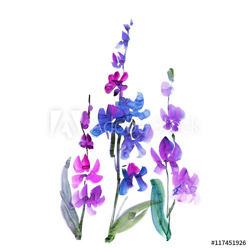 500x498 Hand Drawn Orchid Flower. Sketch Floral Watercolor Illustration - Orchid Flower Sketch