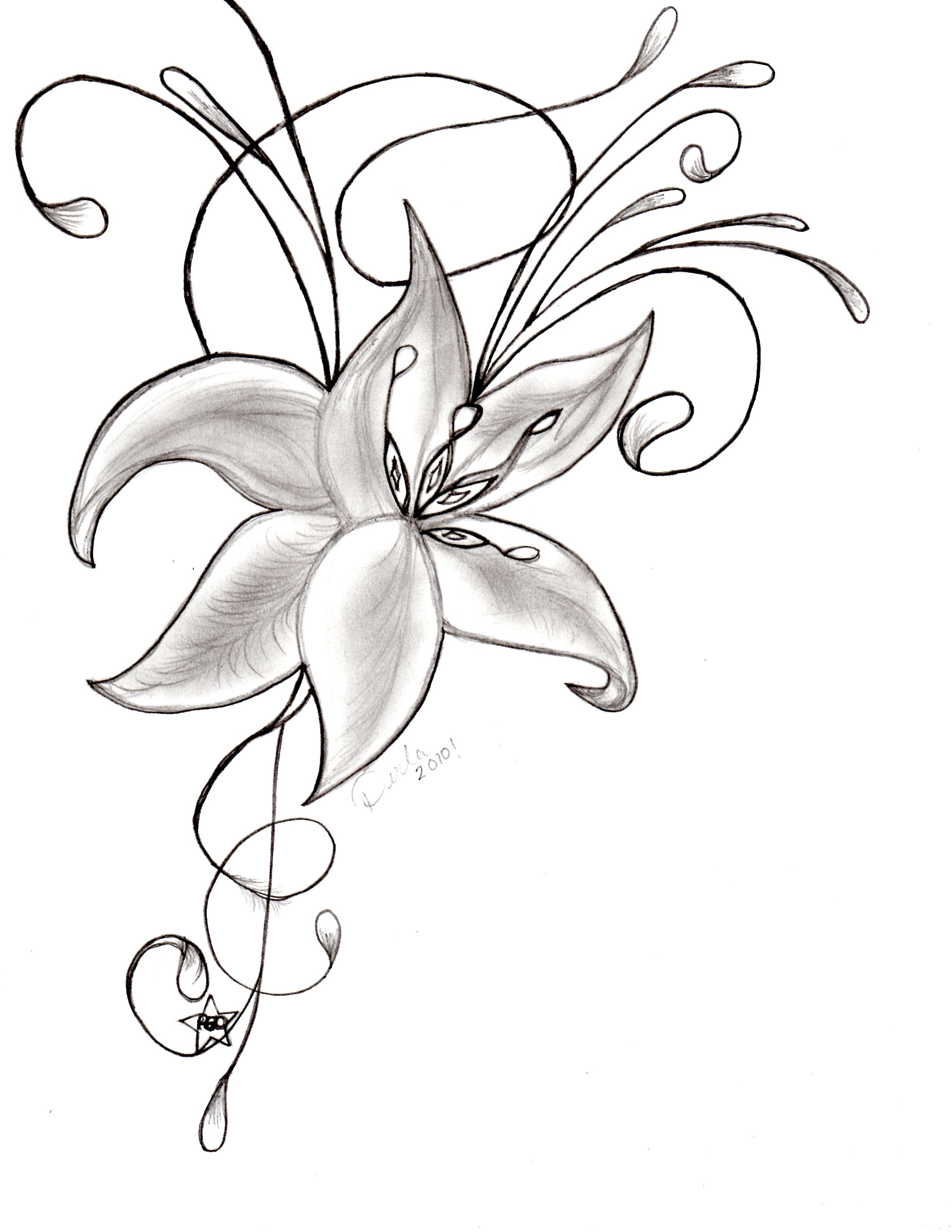 2550x3300 Doodle Drawings Am Flower Doodle Orchid Sketch Monochrome Doodle - Orchid Flower Sketch