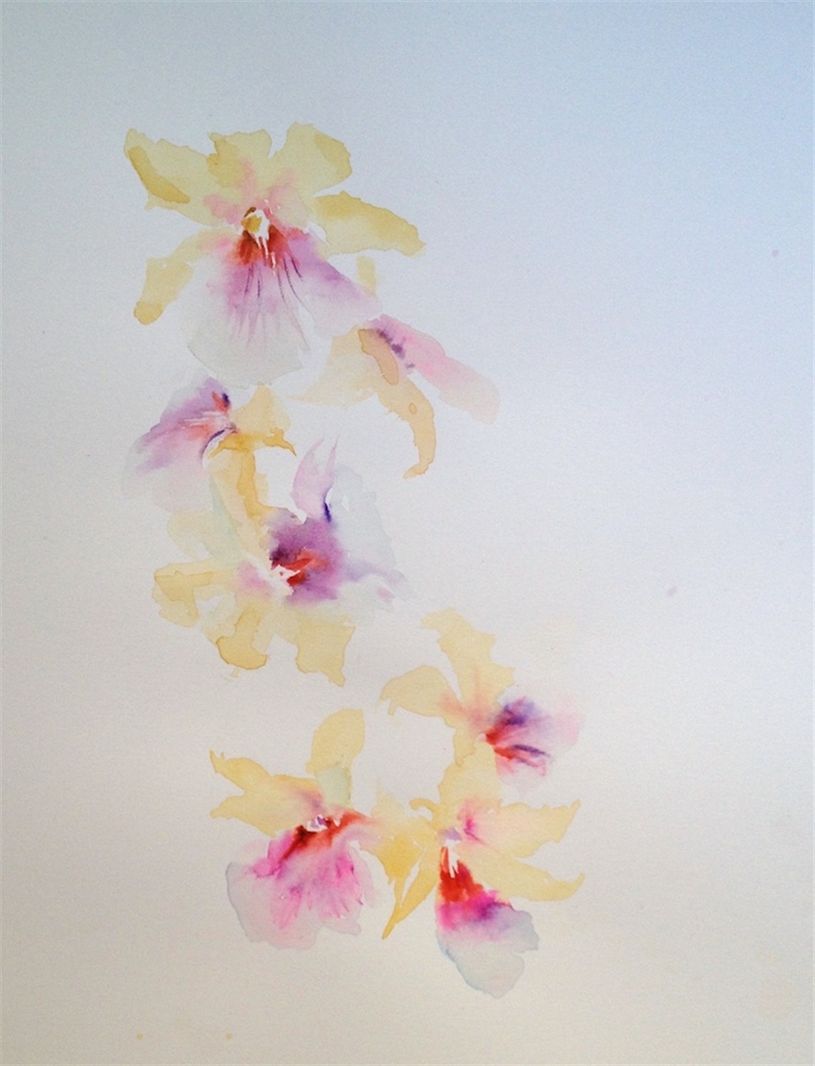 1146x1500 Orchid Sketch 2 By Ibolya Taligas - Orchid Sketch