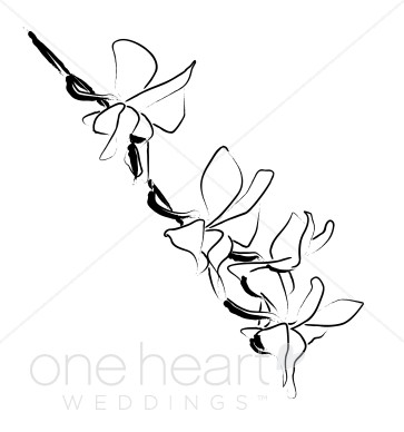 363x388 Summer Orchid Sketch Wedding Orchid Clipart - Orchid Sketch