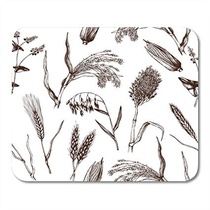 425x425 Nakamela Mouse Pads Cereal Crops Sketches Vintage - Organic Sketches
