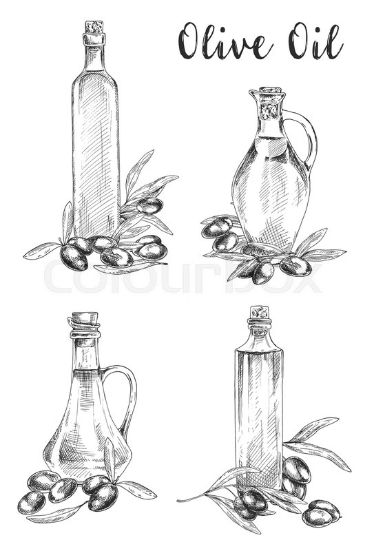 543x800 Set Of Isolated Sketches Of Glass Bottle With Oil Liquid Near - Organic Sketches