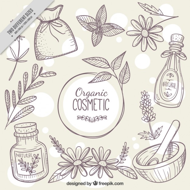 626x626 Sketches Background Of Natural Cosmetics Vector Free Download - Organic Sketches