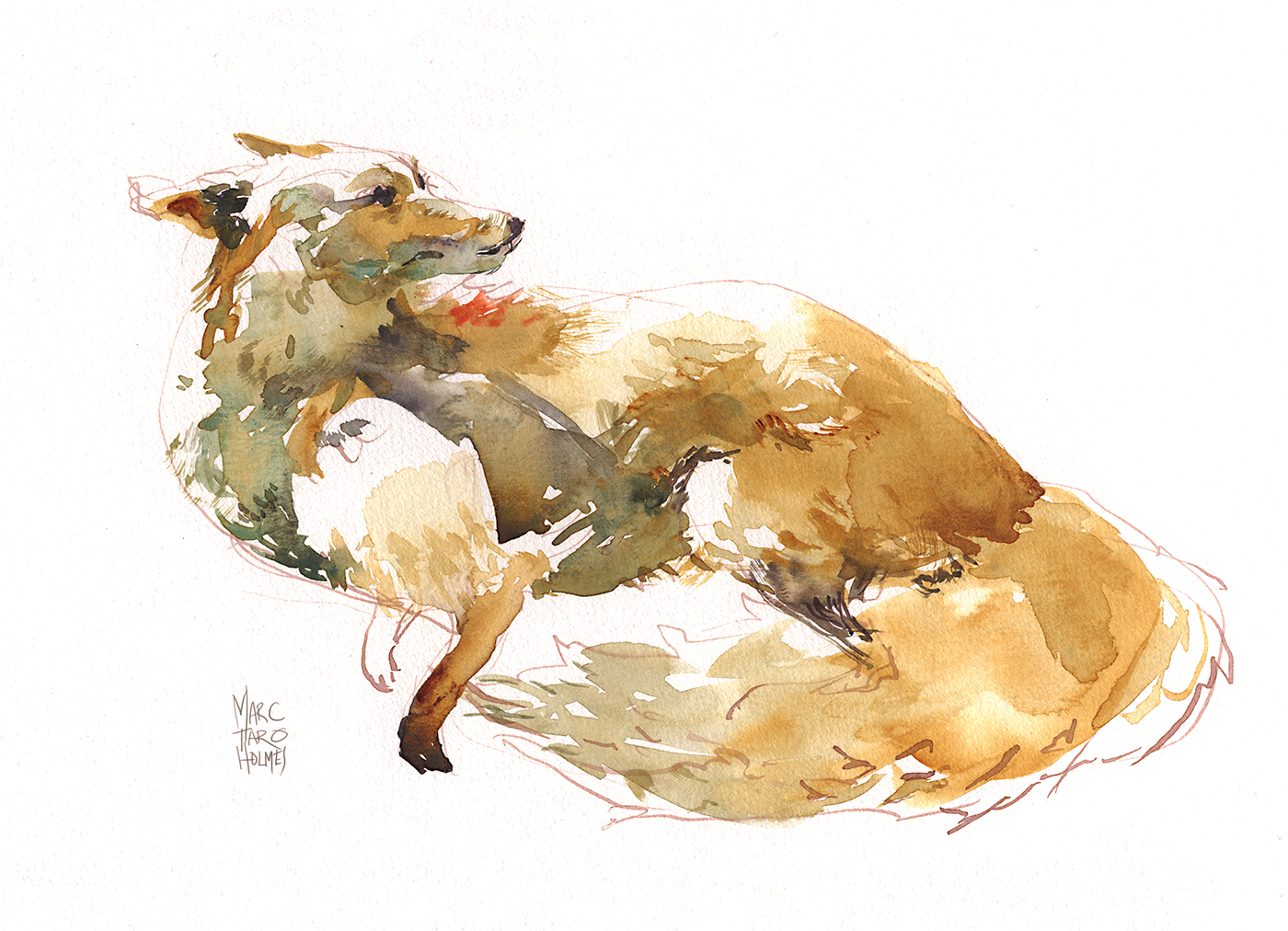 1400x1012 Sketching Tips For Organic, Natural Sketches - Organic Sketches