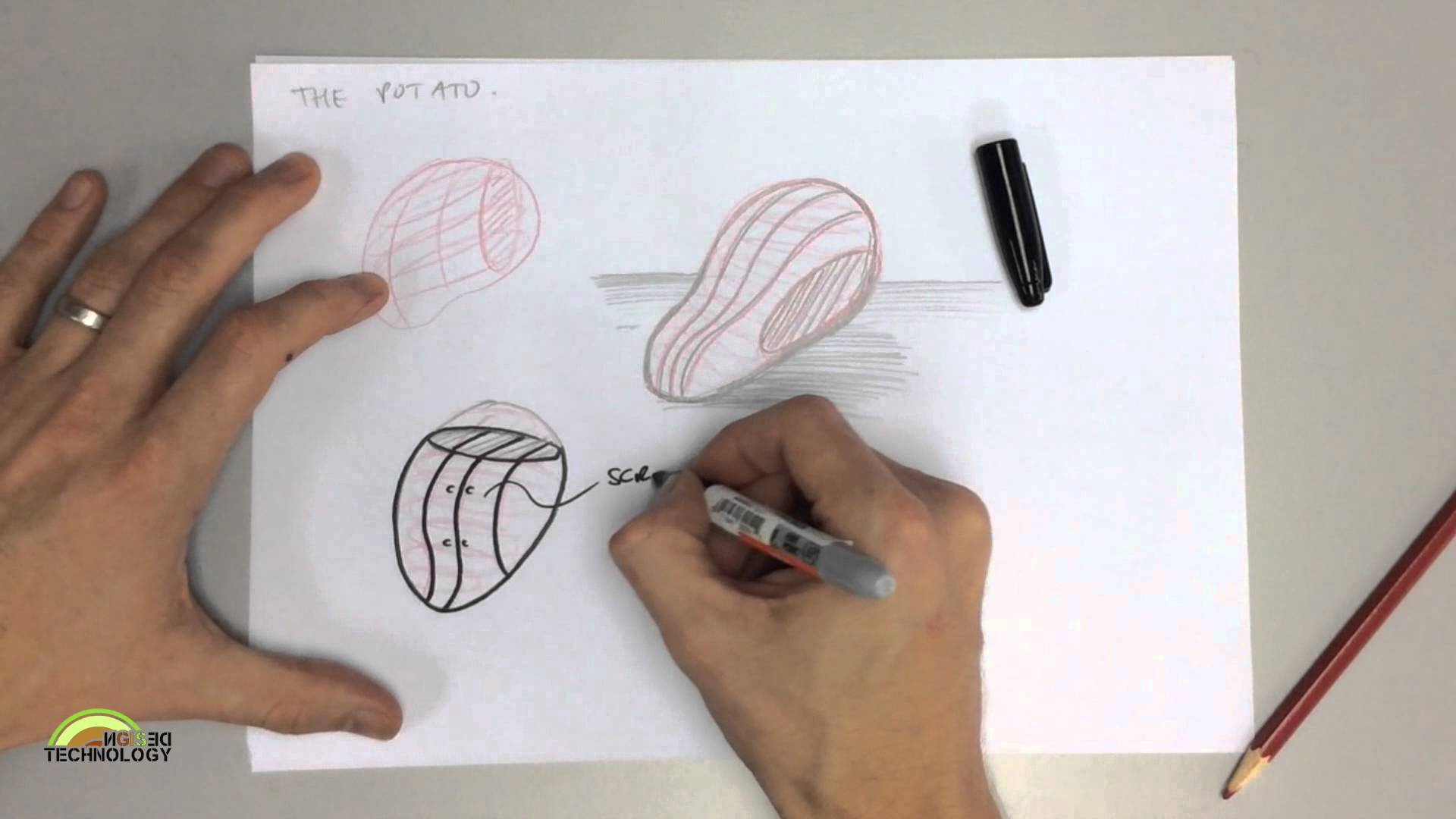 1920x1080 Sketching Organic Shapes - Organic Sketches