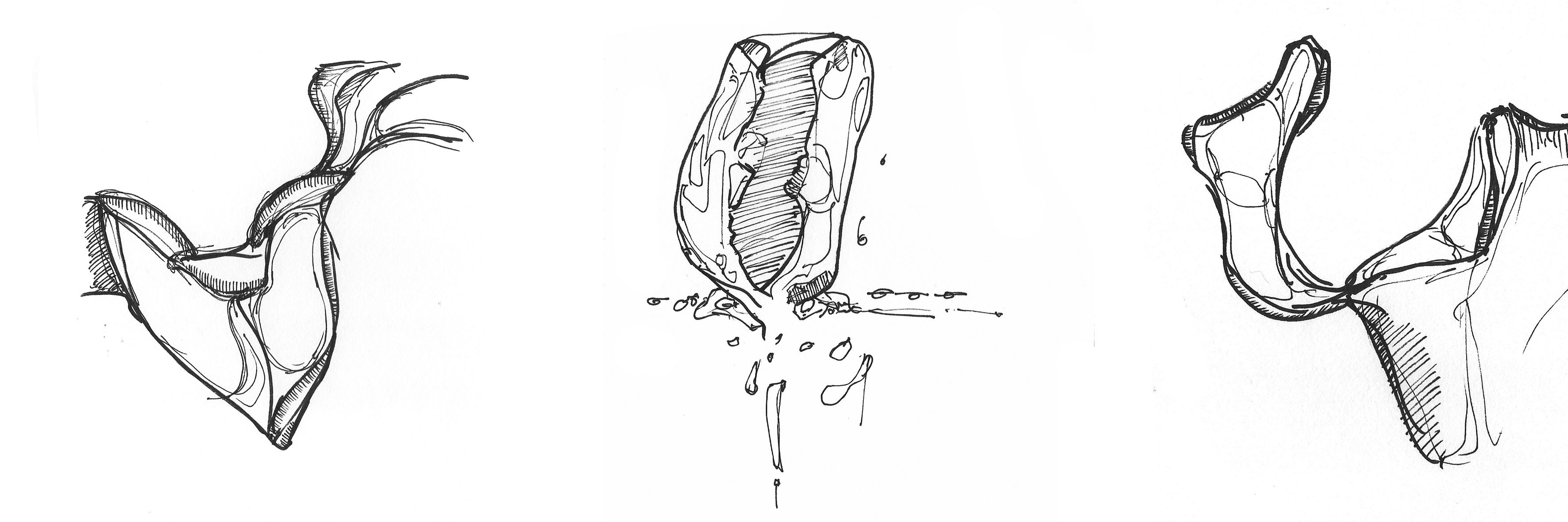 3543x1181 Art - Organic Sketches