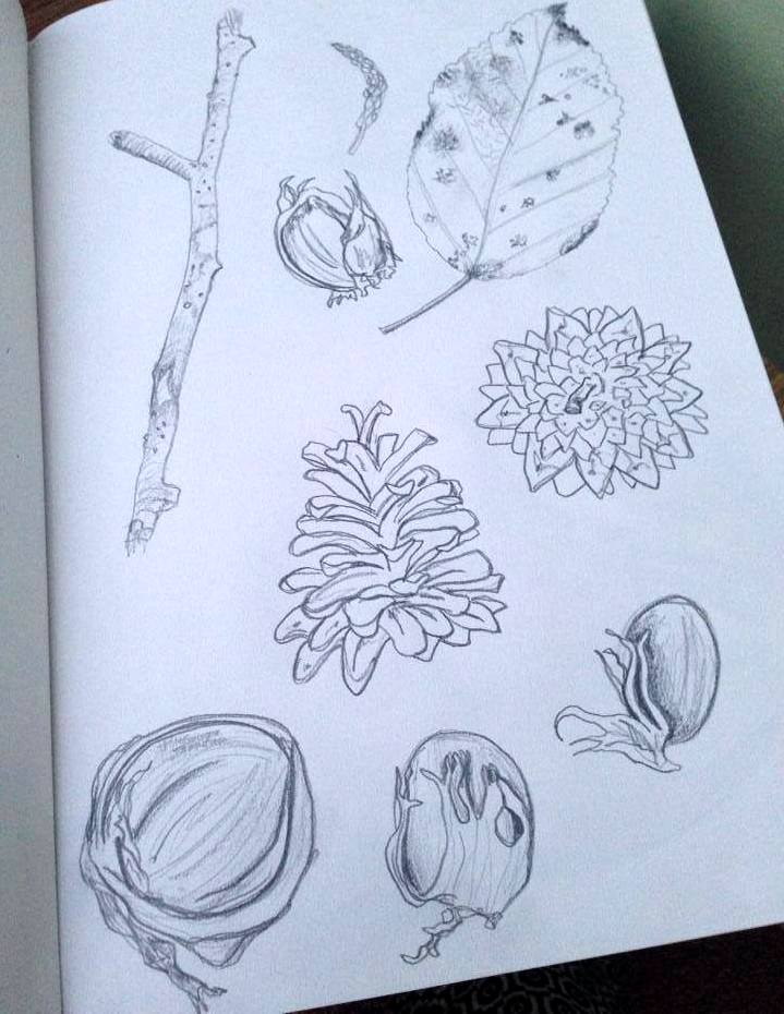 719x930 Organic Object Sketches - Organic Sketches