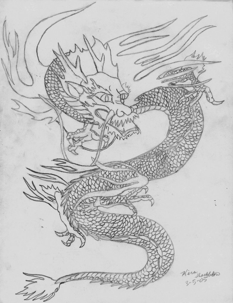 784x1019 Oriental Dragon Sketch By Orcamistress101 - Oriental Sketch