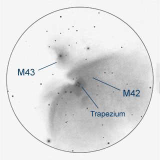 320x320 Messier 42, 43 (The Orion Nebula) - Orion Sketch
