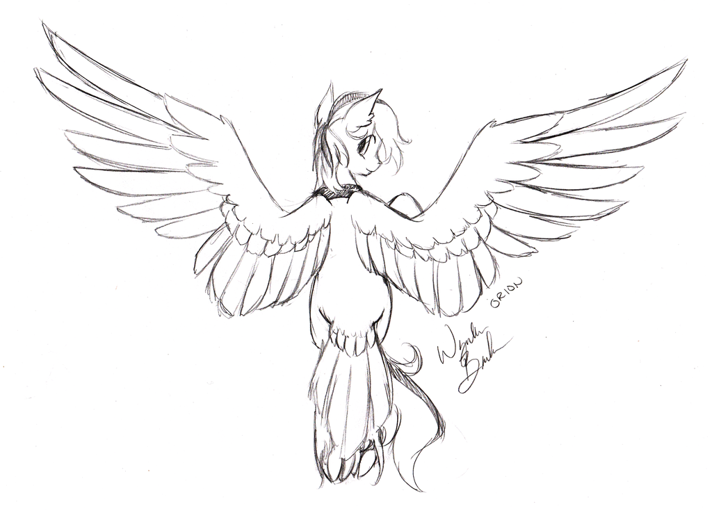 1024x735 Sketch Request - Orion Sketch