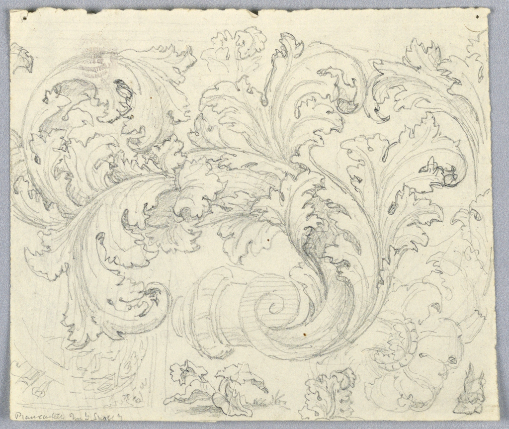 1024x863 Drawing, Study For Curling Acanthus Ornament, 18th Century - Ornament Sketch