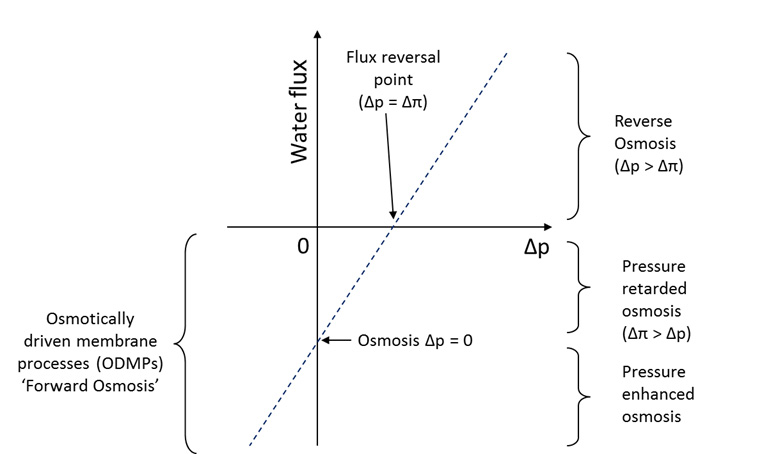 771x454 Forward Osmosis - Osmosis Sketch