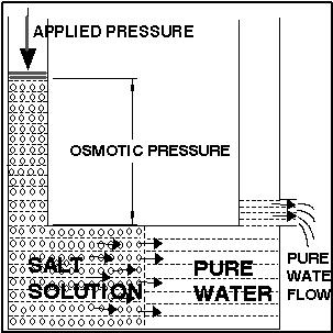 303x303 Introduction To Reverse Osmosis Water Purification Technology - Osmosis Sketch
