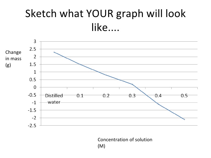 728x546 Osmosis Report Powerpoint - Osmosis Sketch