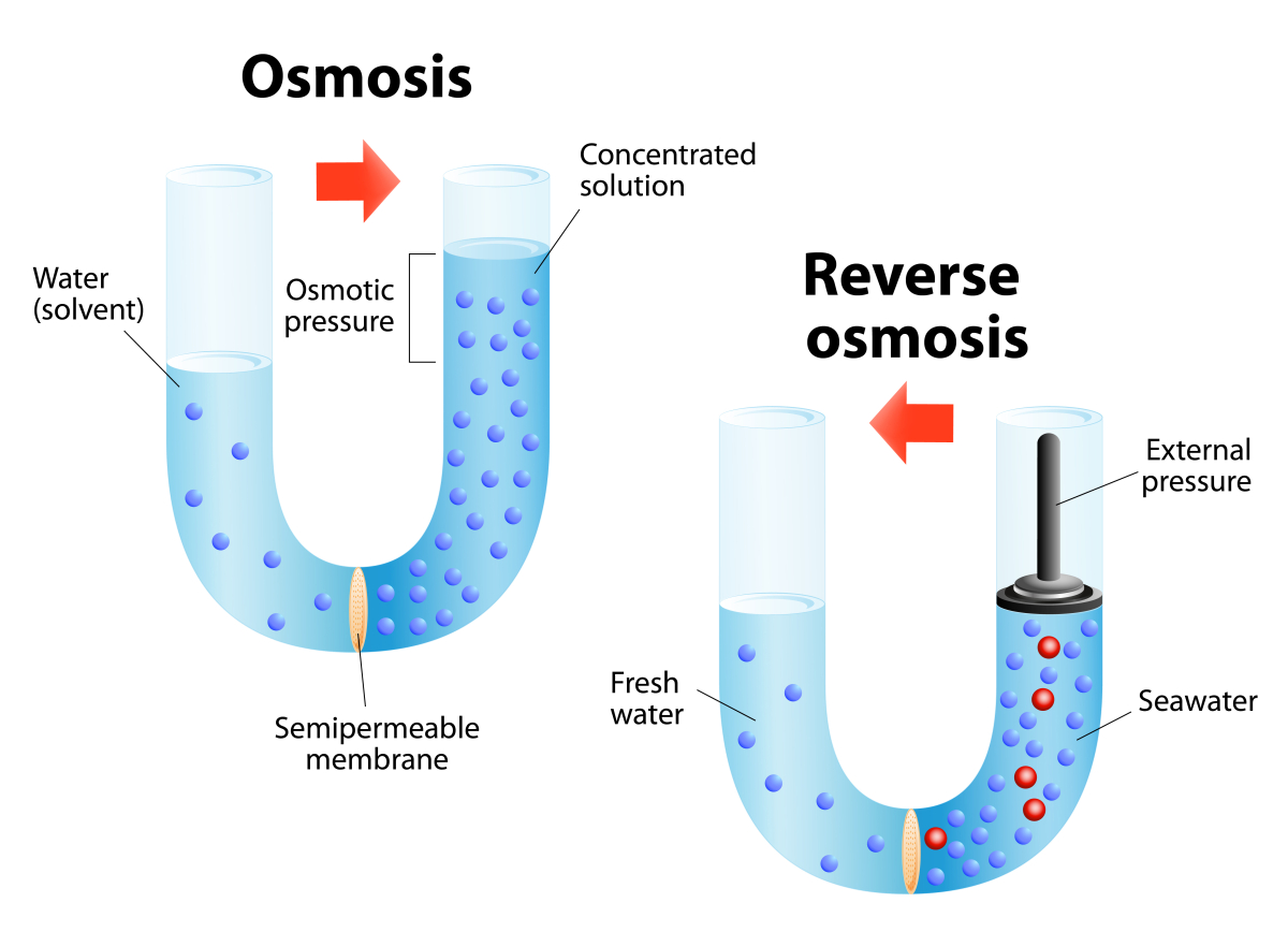 1200x868 Discussing Some Pros And Some Cons Of Reverse Osmosis K Amp R - Osmosis Sketch