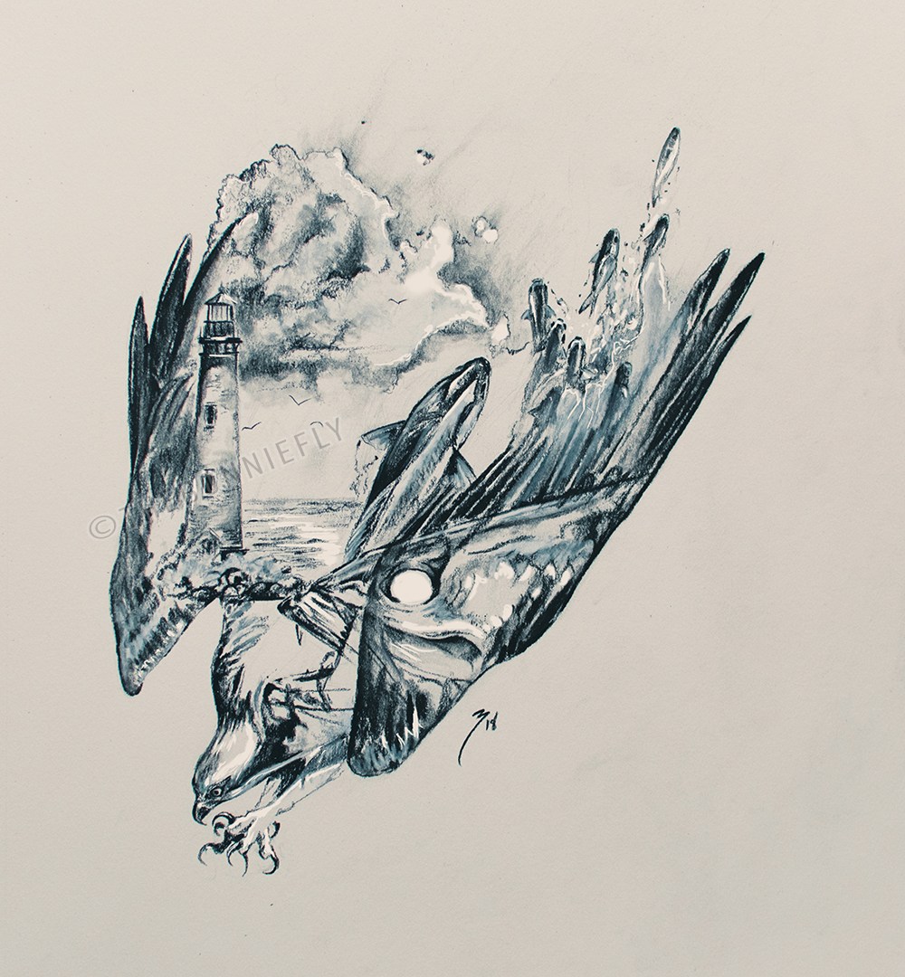 1000x1080 Osprey Double Exposure Of Di The Bonnie Fly - Osprey Sketch