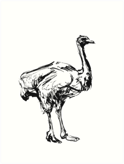 413x549 Ostrich. Ink Sketch. Art Prints By Aida Sidorenko Redbubble - Ostrich Sketch