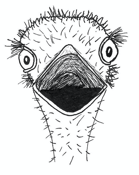 485x610 Sunday Sketch Ostrich Roar - Ostrich Sketch