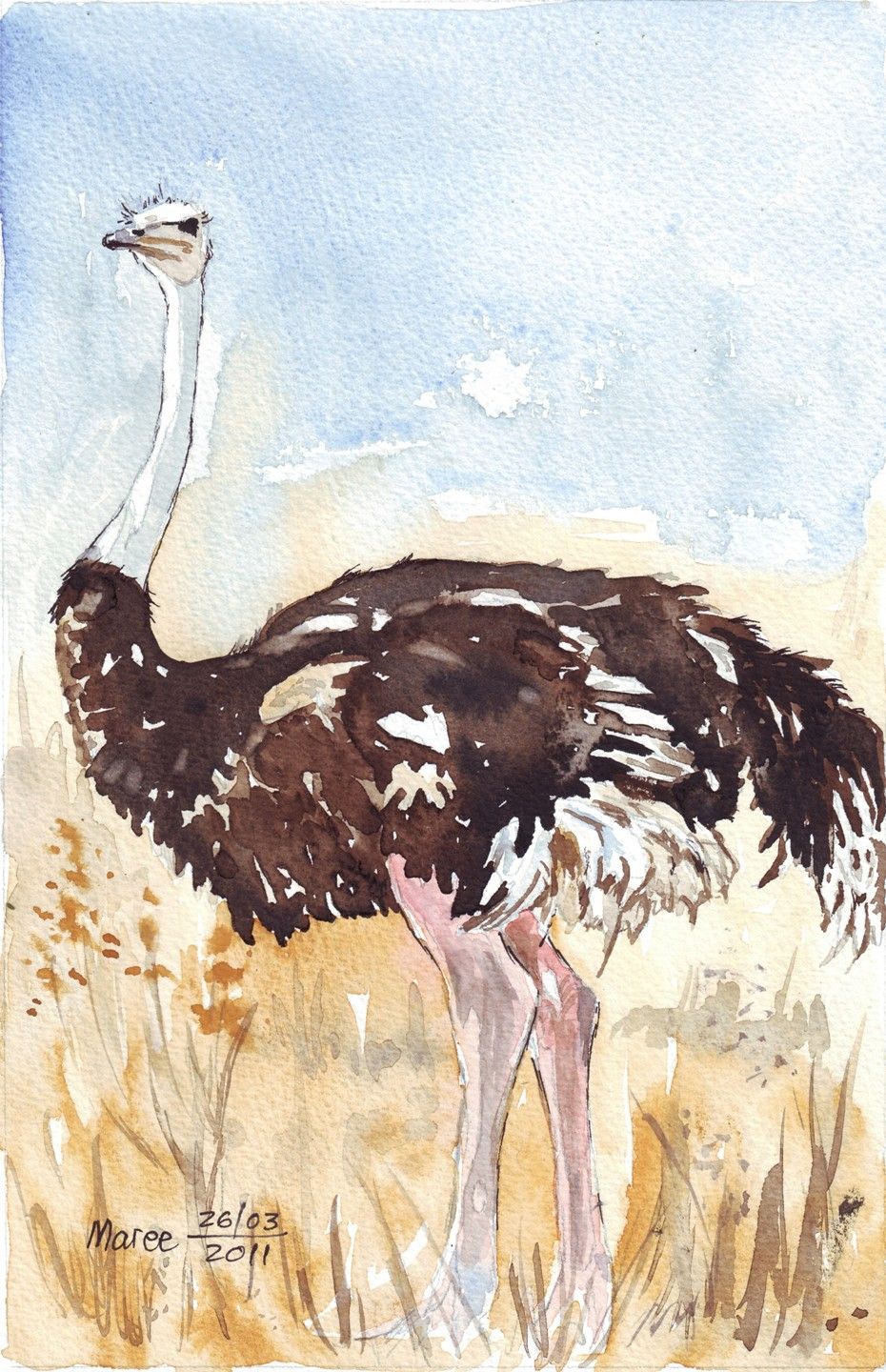 930x1440 Beautiful Ostrich Sketch African Quilt Ideas Sketches - Ostrich Sketch
